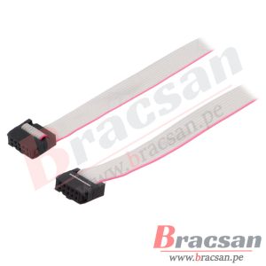 CABLE FLAT 1.27MM ARMADO CON CONECTOR IDC 10 HILOS 28AWG CONNFLY DS1052-102B2MA206001