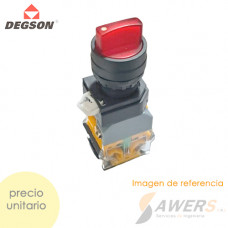 DT22A-S2RD11  Selector 2POS Momentaneo con luz