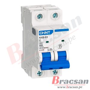 INTERRUPTOR TERMOMAGNETICO LLAVE TERMICA MONOFASICA AC 2X10A 6KA/400V CURVA C CHINT