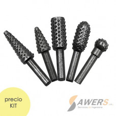 Kit de Fresas de Tungsteno para pulido 5PCS 6mm