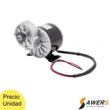 Motorreductor brushed 24V 350W