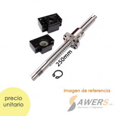 SFU1605 kit tornillo de bolas con BK12/BF12 (25cm)
