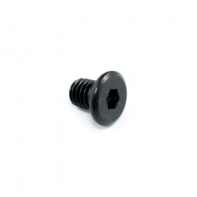 Tornillo Allen bajo perfil M5*6